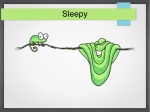 Sleepy - Core Security