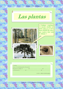 las plantas - Junta de Andalucía