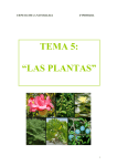 TEMA 5: “LAS PLANTAS”