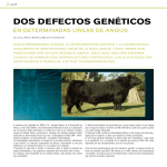 dos defectos genéticos - Asociación Argentina de Angus