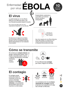 El contagio El virus Cómo se transmite