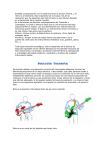 curso_de_bajo_1 613.34 Kb - Cancionero – Cristiano .COM