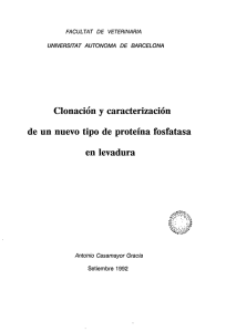 Clonación y caracterización de un nuevo tipo de proteína