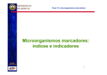 Microorganismos marcadores: índices e indicadores