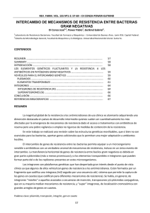 intercambio de mecanismos de resistencia entre bacterias gram