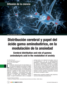 Distribución cerebral y papel del ácido gama aminobutírico, en la