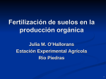 Fertilización Organica vs. Fertilización Convencional