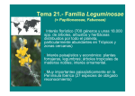 Tema 21.- Familia Leguminosae (= Papilionaceae, Fabaceae)