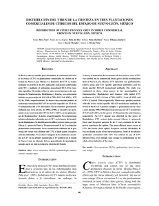 distribución del virus de la tristeza en tres plantaciones
