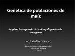 Genética de poblaciones de maíz