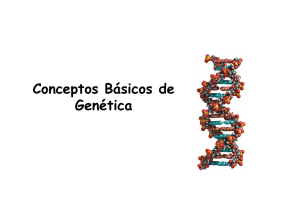gene - Dr. Fernando Tuya
