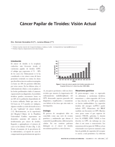 Descargar archivo completo en PDF