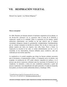 Libro experimentos en fisiología y bioquímica vegetal