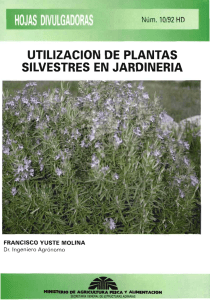 UTILIZACION DE PLANTAS SILVESTRES EN JARDINERIA