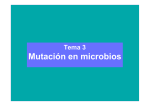 Mutación en microbios