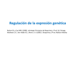 Regulación de la expresión genética