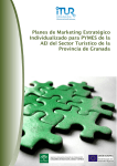 Planes de Marketing Estratégico Individualizado para PYMES de la