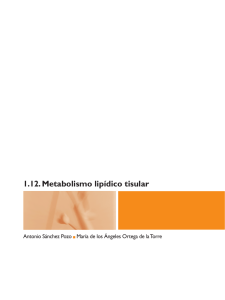 1.12. Metabolismo lipídico tisular