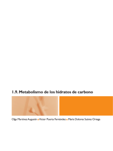 1.9. Metabolismo de los hidratos de carbono
