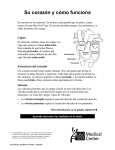 Your Heart and How It Works - Spanish