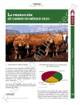 La producción de carnes en México 2010