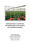 Nº 31. Introducción al cultivo de anthurium para flor