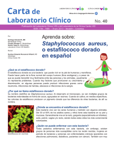 Carta 40. Aprenda sobre: "Staphylococcus aureus"