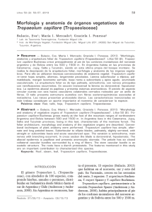 opera lilloana 2005 - cap I