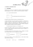 ÁLGEBRA LINEAL