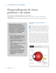 Desprendimiento de vítreo posterior y de retina