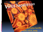 Virus hepatotropos