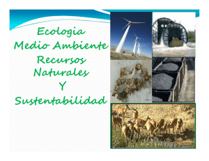 Ecologia Medio Ambiente Recursos Naturales Y Sustentabilidad