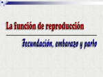 Diapositiva 1 - Valero Murillo Martínez