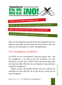 Los transgénicos en México