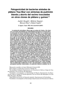 Patogenicidad de bacterias aisladas de pl&aacute;tano `Hua Moa` con