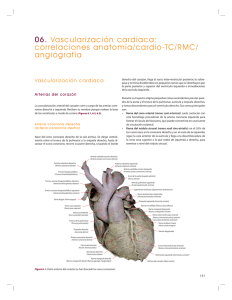 Capítulo 6 - Tienda Online Grupo CTO