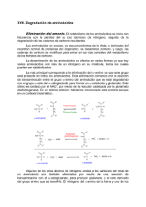 Degradación de Aminoácidos y Excresión de Amonio