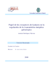 pdf Papel de los receptores de kainato en la regulación de la