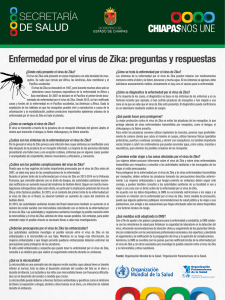 Enfermedad por el virus de Zika: preguntas y