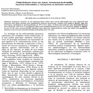 bacterias helicoidales y coronavirus en intestino murino· el al., 1980