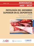 patología del miembro superior en el deportista