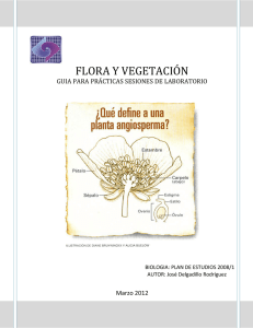 Curso Flora y Vegetación_Manual Practicas de