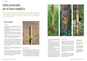 Tipos de daños debidos a la fauna