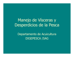 Manejo de Vísceras y Desperdicios de la Pesca