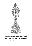 Plantas suculentas de las Islas Canarias