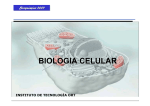biologia celular - Instituto Almagro