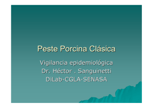 Peste Porcina Clásica