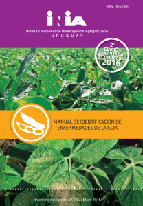 manual de identificación de enfermedades de la soja