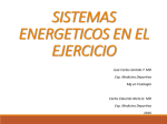 1. sistemas energéticos en el ejercicio jcgt- ceng