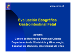 Evaluación Ecográfica Gastrointestinal Fetal